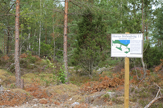 Tomten sedd från vägen Tomten sedd från vägen