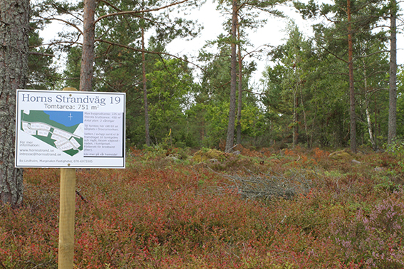 Tomten sedd från vägen Tomten sedd från vägen