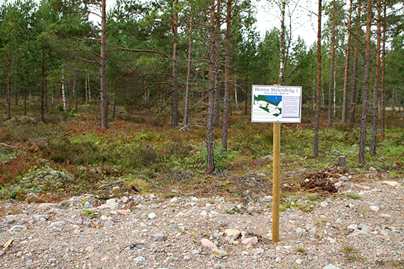 Tomten sedd från vägen Tomten sedd från vägen