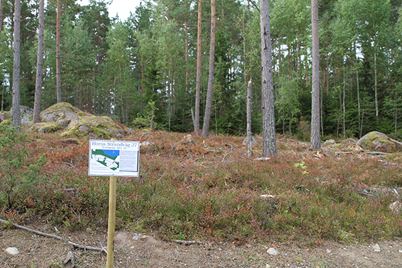 Tomten sedd ifrån vägen Tomten sedd ifrån vägen