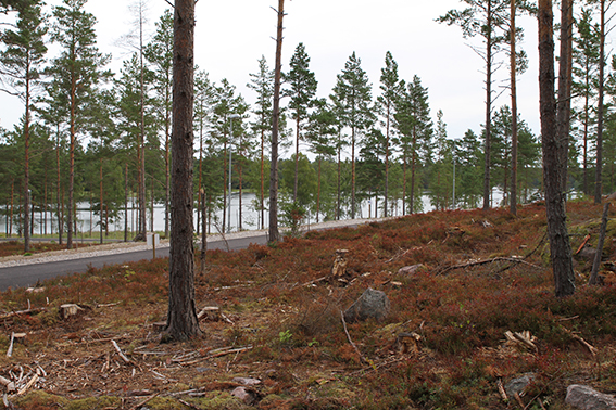 Utsikten mot havet ifrån tomten Utsikten mot havet ifrån tomten