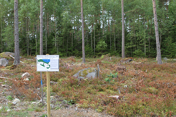 Tomten sedd från vägen Tomten sedd från vägen
