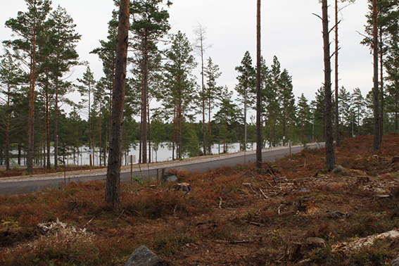 Utsikten mot havet sedd från tomten