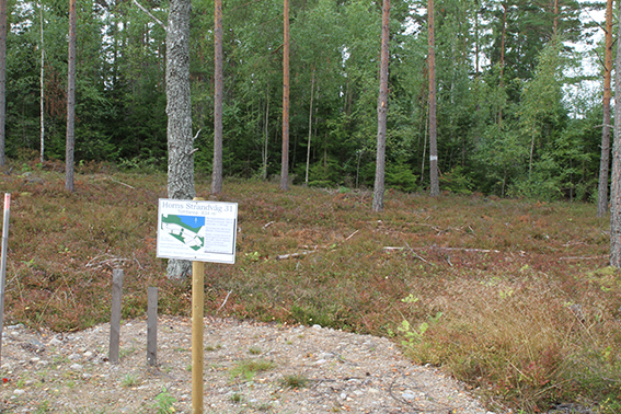 Tomten sedd från vägen Tomten sedd från vägen