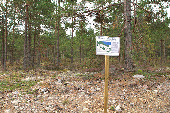 Tomten från vägen Tomten från vägen