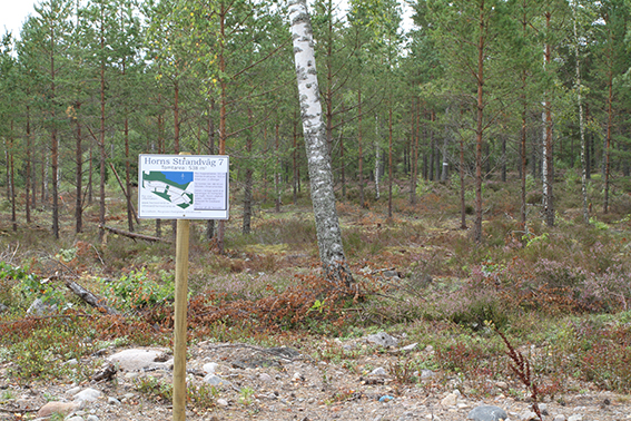 Tomten sedd från vägen Tomten sedd från vägen