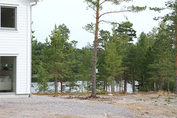 Utsikt mot havet från tomten