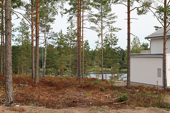 Utsikt mot havet från tomten